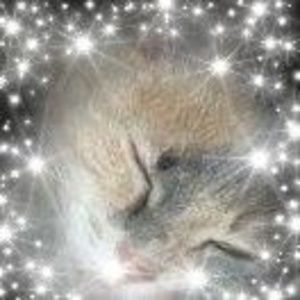 Meet your Posher, Teresa